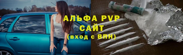 PSILOCYBIN Белокуриха