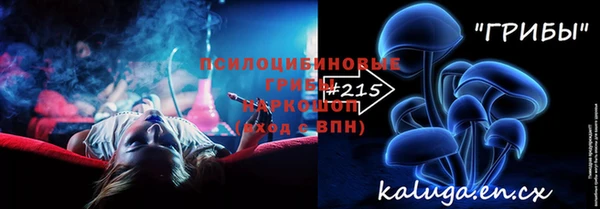 PSILOCYBIN Белокуриха