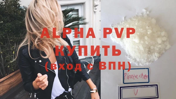 гашик Беломорск