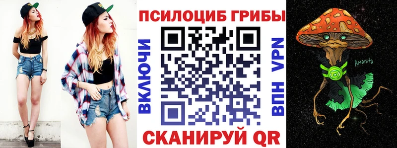 Купить где Краснокаменск Псилоцибиновые грибы MAGIC MUSHROOMS